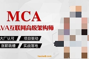 马士兵-mca互联网架构师1-7班 2022年无密