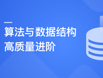 算法与数据结构高手养成-求职提升特训课封面图